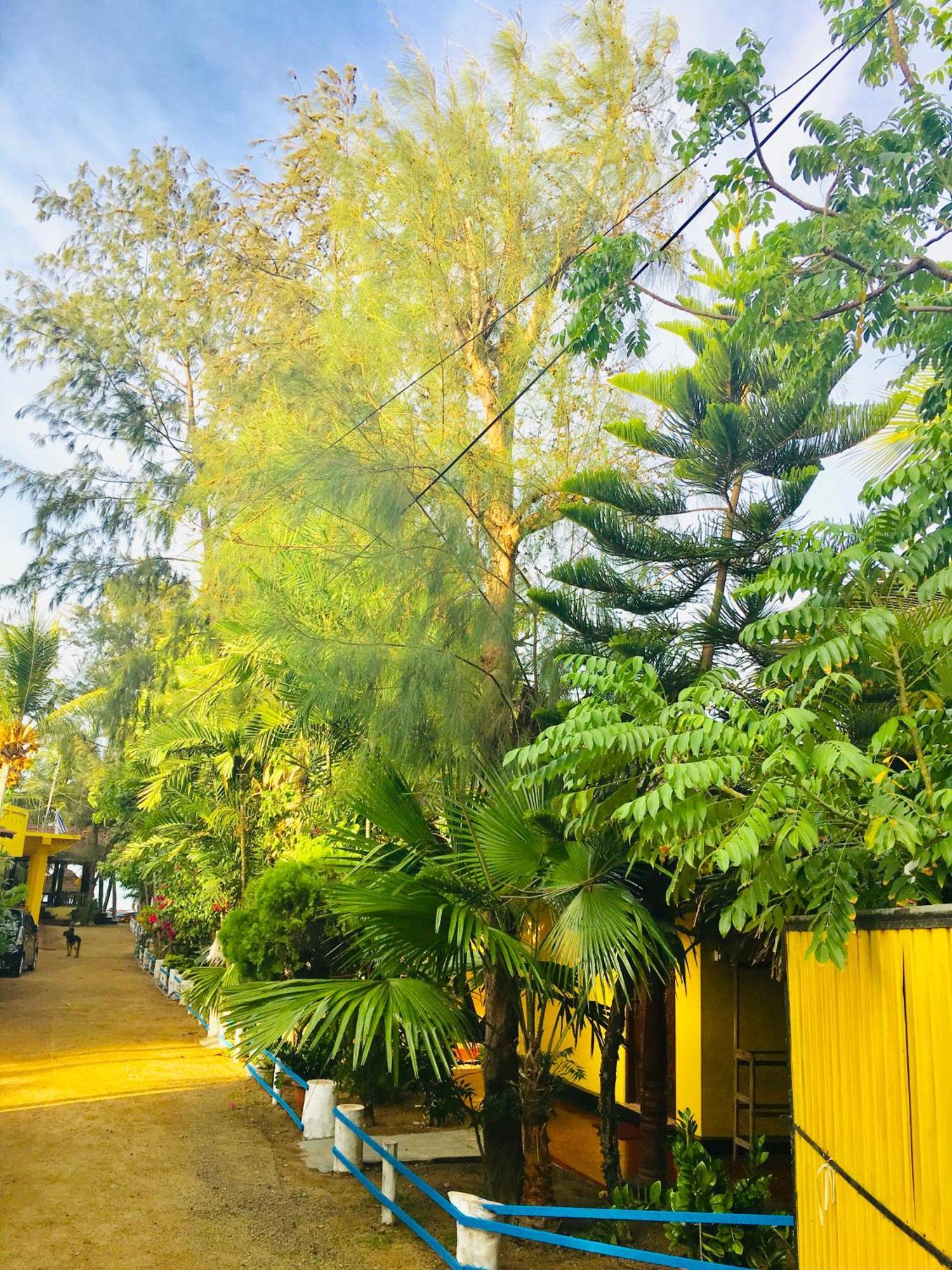 Shashini Beach Resort Baie d'Arugam Extérieur photo